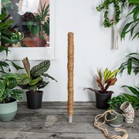 Palik kokosowy 40cm 32mm