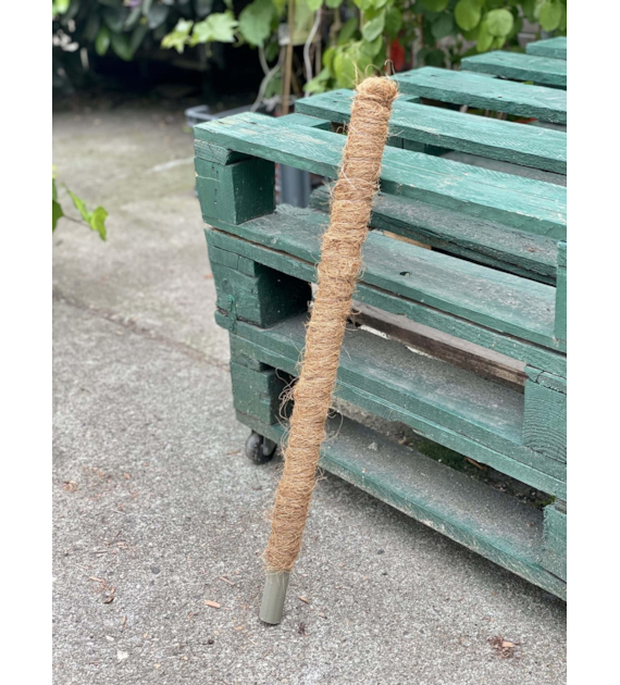 Palik kokosowy 80cm 32mm