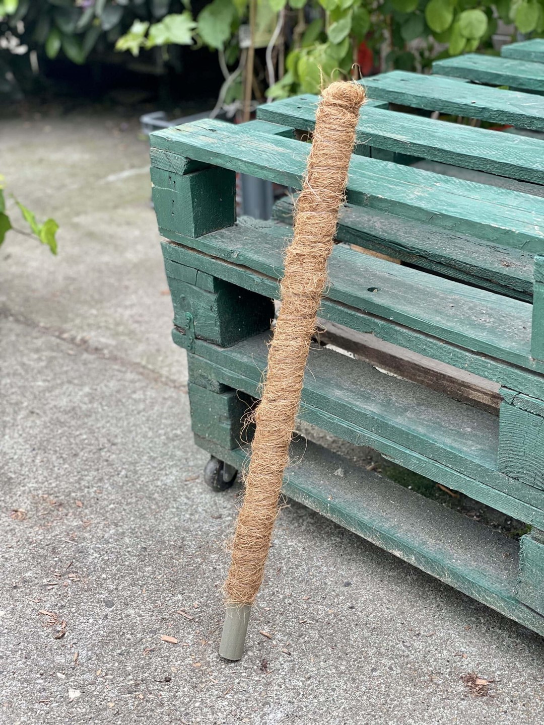 Palik kokosowy 80cm 32mm