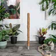 Palik kokosowy 120cm 32mm