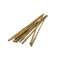 Tyczki bambusowe  75cm 10-12mm T75