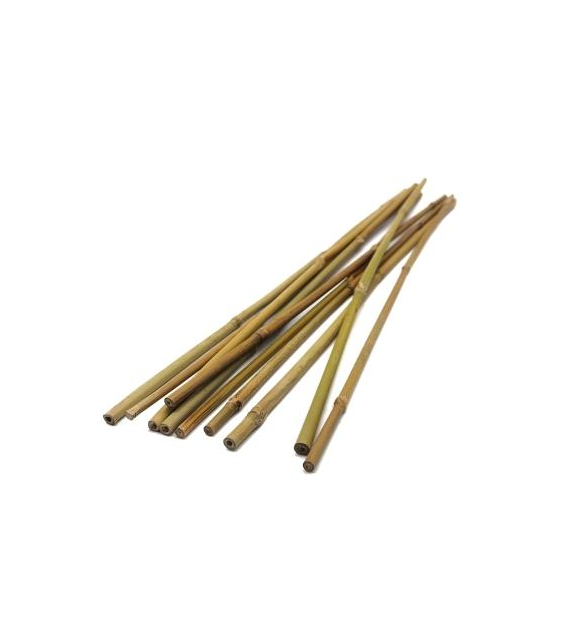 Tyczki bambusowe  75cm 10-12mm T75 /20/