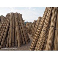 Tyczki bambusowe  305cm 26-28mm
