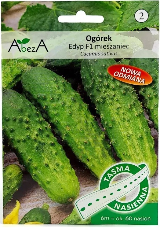 Ogórek Edyp 6m/60nasion TAŚMA F1  ST