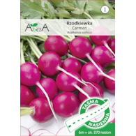Rzodkiewka Carmen 6m/270 nas ST TAŚMA