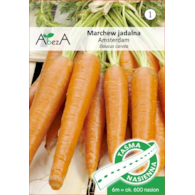 Marchew Amsterdam3-AmsterdamskaTOR6m/600nas TAŚMA