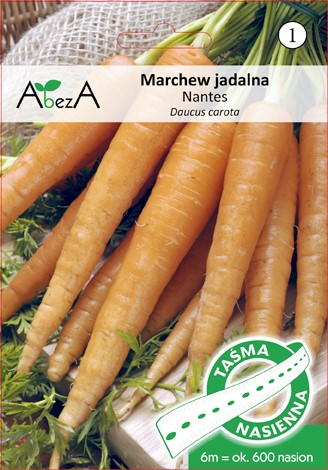 Marchew Nantes2  6m/ok 600nasion TAŚMA ST