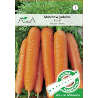 Marchew Koral  6m/ok 600nasion TAŚMA ST