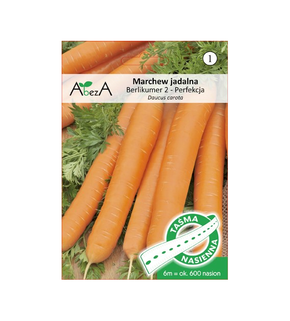 Marchew Berlikumer2-PerfekcjaTOR 6m TAŚMA ST
