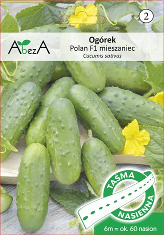 Ogórek Polan 6m/60 nas - TAŚMA mieszaniec F1 ST