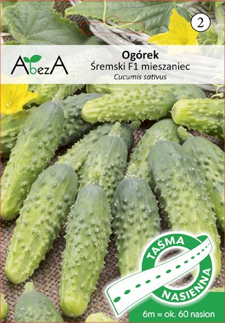 Ogórek Śremski 6m/ok 60 nasion mieszaniec F1-TAŚMA