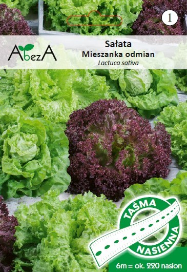 Sałata mieszanka masłowe + krucha 6m/220n TAŚMA ST