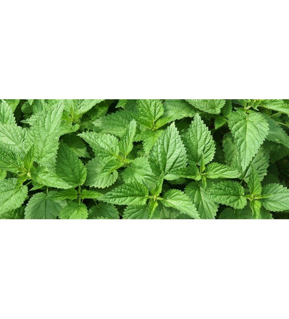 Agropak Pokrzywa 1L /12/