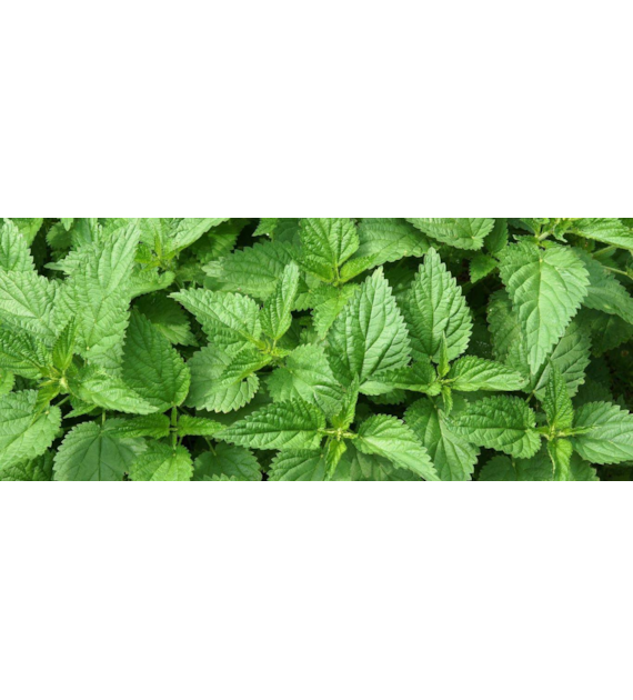 Agropak Pokrzywa 1L /12/