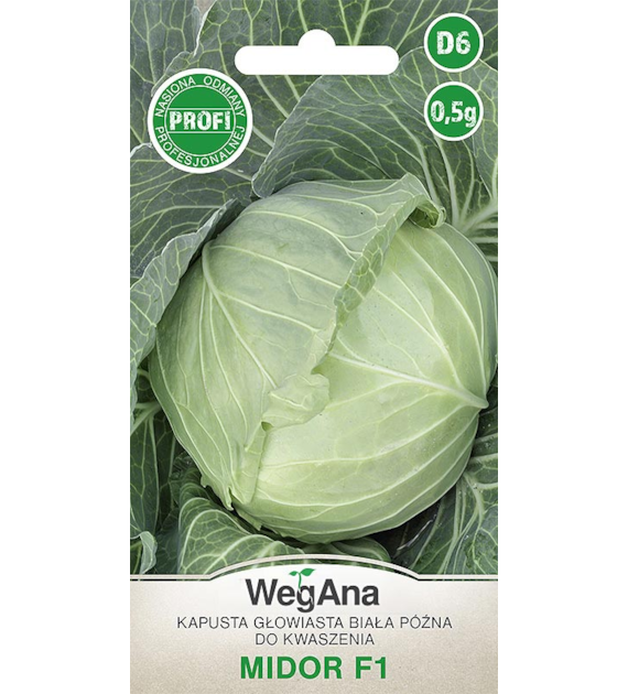 Kapusta biała Midor F1 0,5g ST