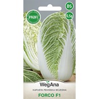 Kapusta pekińska Forco F1 ST 0,5g ST