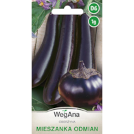 Oberżyna mieszanka odmian ST 1g