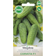 Ogórek konserwowy Corveta mieszniec F1 5g ST
