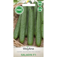 Ogórek Saladin F1 0,5g ST