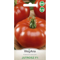 Pomidor Jutrosz F1 0,2g ST karłowy
