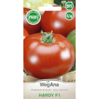 Pomidor Hardy F1 wysoki szklarniowy 0,1g ST