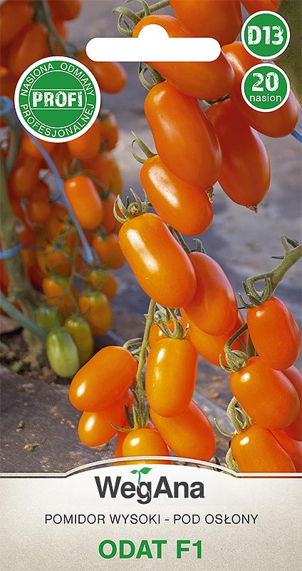 Pomidor Odat F1 ST  20nas ST