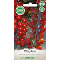 Pomidor Charmant F1 ST 20nas