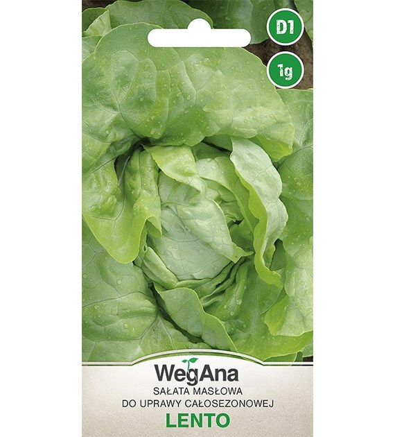 Sałata Lento 1g ST