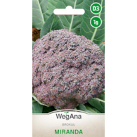 Brokuł Miranda ST 1g ST