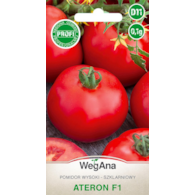 Pomidor Ateron wysoki szklarniowy F1  0,1g ST