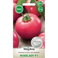 Pomidor Roselady  F1  0,1g ST