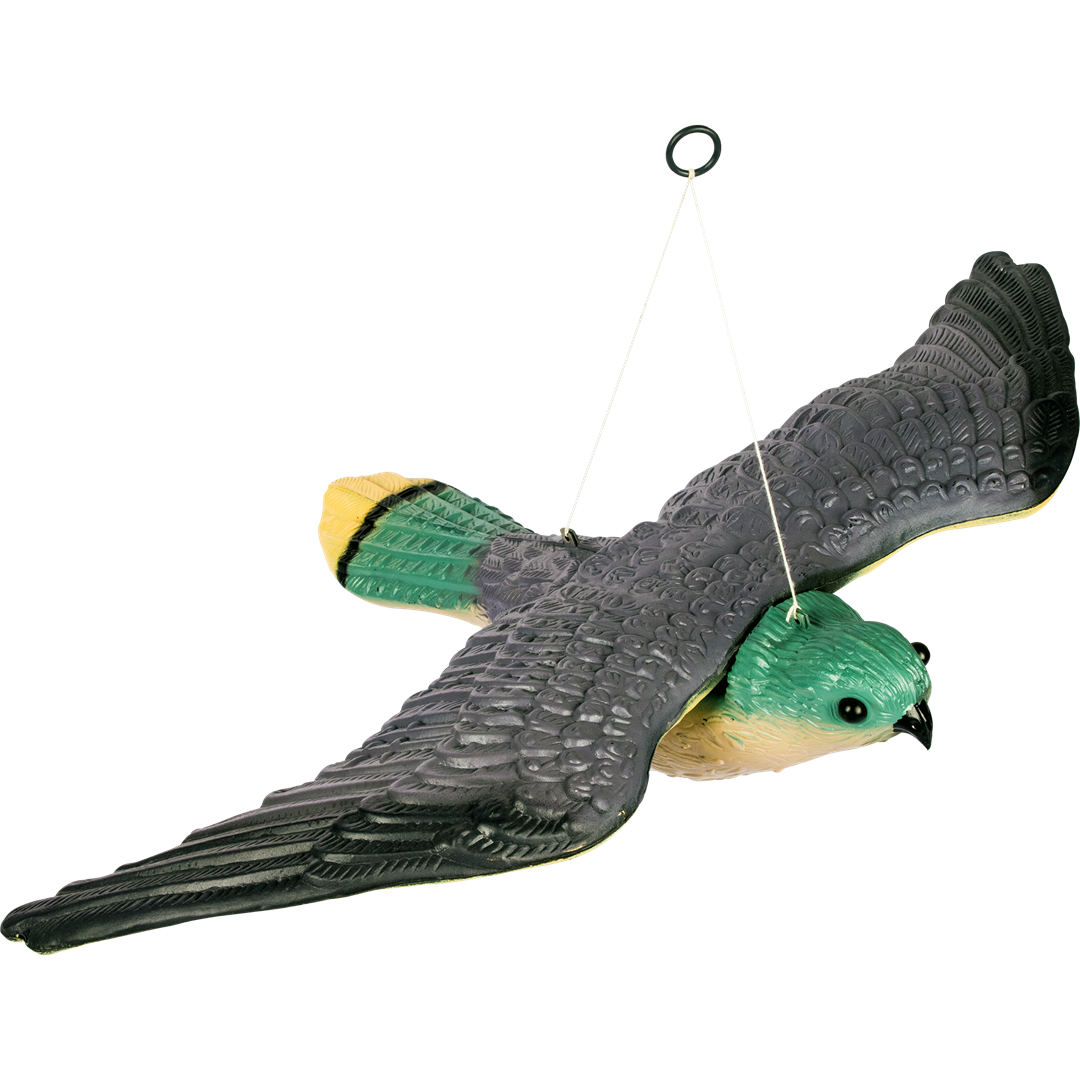 Sokół z rozpostartymi skrzydłami -odstrasz 731010