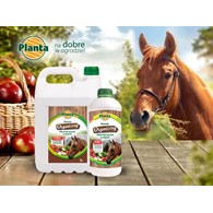PLANTA Obornik koński w płynie 1L /6/
