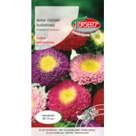 Aster bukietowe -mieszane 1g Callistephus bukiet