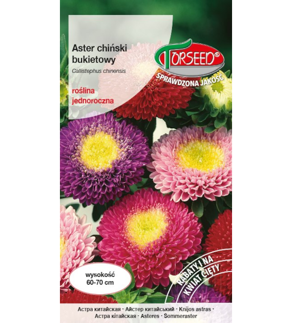 Aster bukietowe -mieszane 1g Callistephus bukiet
