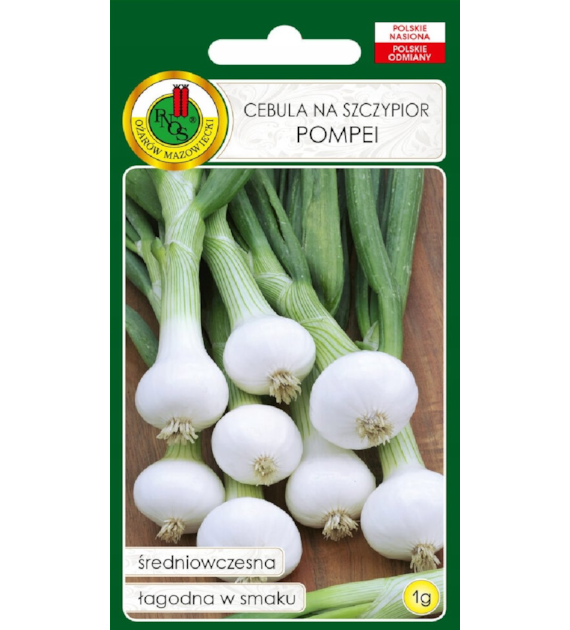 Cebula Pompei F1 1G ST