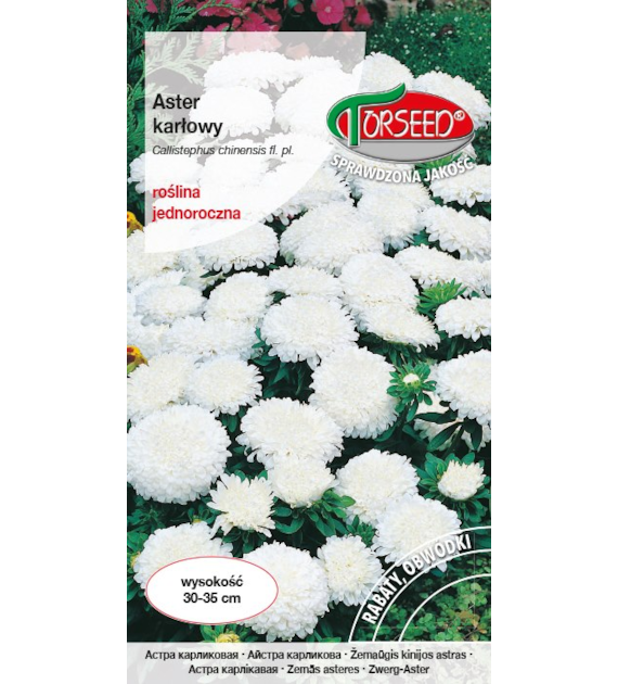 Aster karłowy - biały 0,5g Callistephus karł.chin