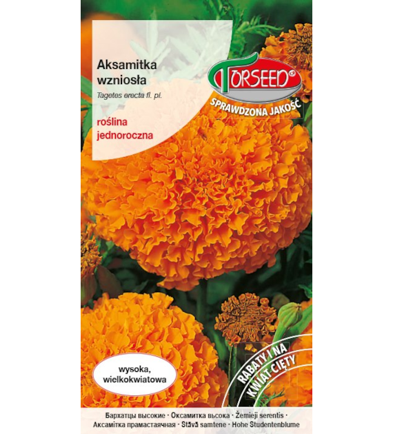 Aksamitka wielkokwiatowa wysoka- pomarańcz. 1 g