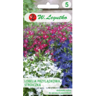 Lobelia przylądkowa, Stroiczka mieszanka 0,3g