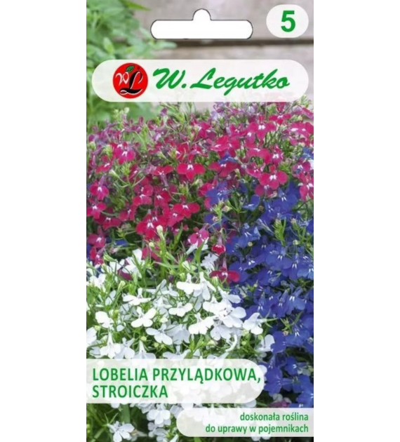 Lobelia przylądkowa, Stroiczka mieszanka 0,3g