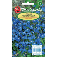 Lobelia przylądkowa, Stroiczka niebieska 0,2g