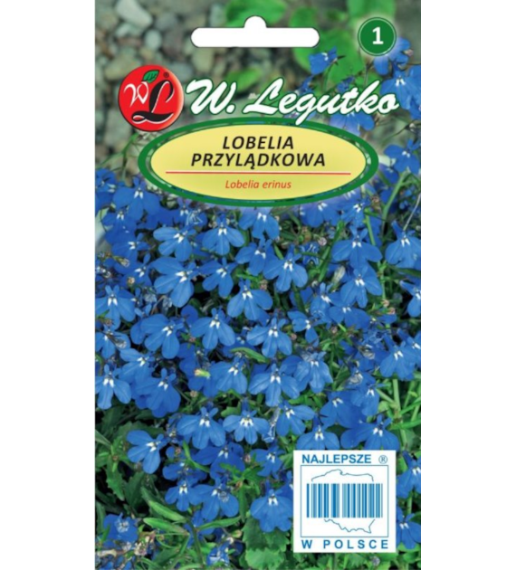 Lobelia przylądkowa, Stroiczka niebieska 0,2g