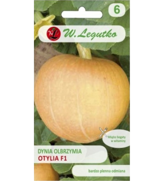 Dynia olbrzymia Otylia F1 4g ST