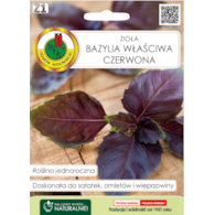 Bazylia właściwa czerwona 0,3 g