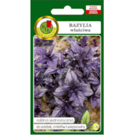 Bazylia czerwona 0,3g