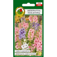 Dziewanna fioletowa 0,1g