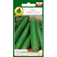 Cukinia Astra Polka 3g ST