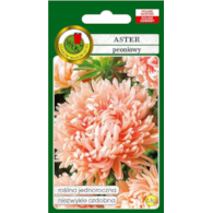 Aster peoniowy Janina łososioworóż.0,8g