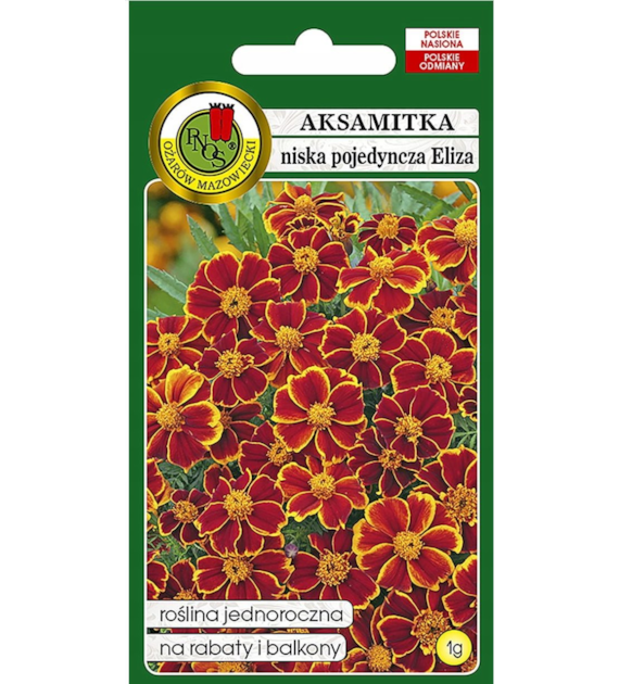 Aksamitka Eliza niska pojedyńcza 1g