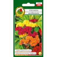 Celozja grzebieniasta 0,3g